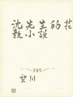 沈先生的花式管教小说