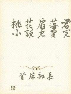 桃花扇落君不还小说免费完整版封面