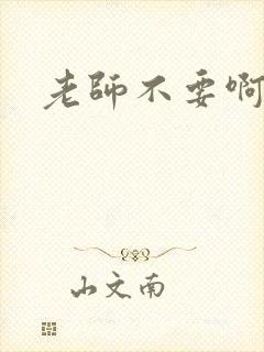 老师不要啊h封面