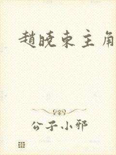 赵晓东主角小说