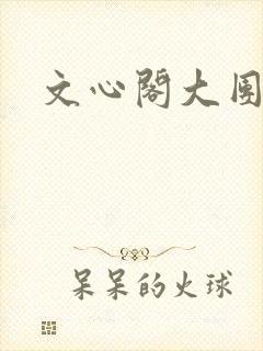 文心阁大团结封面