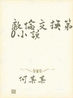 敌伦交换第150小说封面