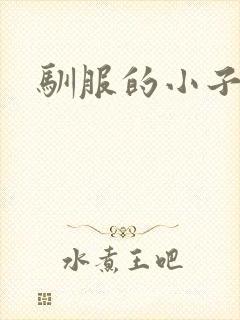 驯服的小子4