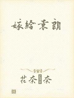 嫁给袁朗封面