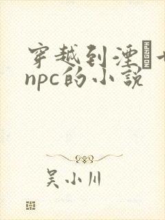 穿越到湮婸世界npc的小说封面