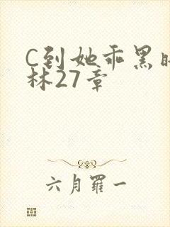 C到她乖黑暗森林27章