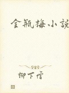 金瓶梅小说