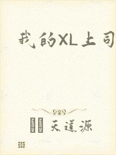 我的XL上司