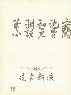 萧渊和沈安安的小说免费阅读