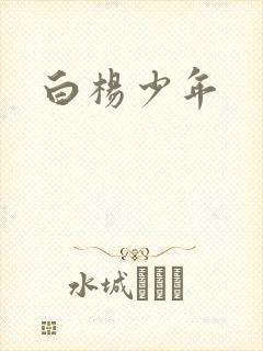 白杨少年