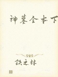 神墓全本下载封面