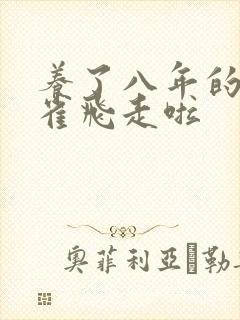 养了八年的金丝雀飞走啦封面