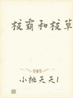 校霸和校草封面