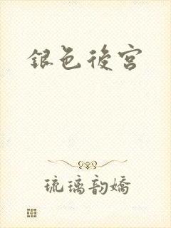 银色后宫封面