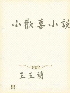 小欢喜小说封面