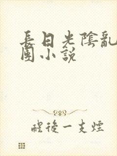 长日光阴乱作一团小说