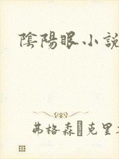 阴阳眼小说封面