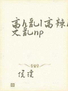 高h乱l高辣h文乱np