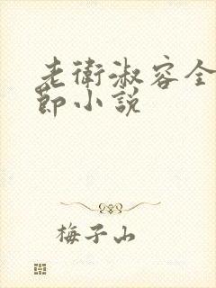 老卫淑容全部章节小说封面