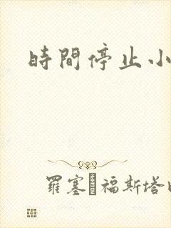 时间停止小说
