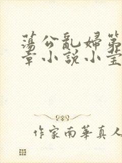荡公乱妇第51章小说小莹