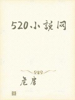 520小说网