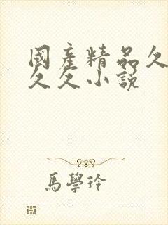 国产精品久久久久久小说
