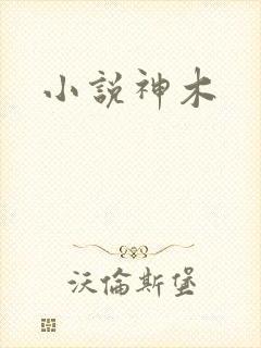 小说神木