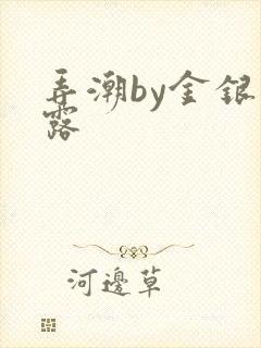 弄潮by金银花露封面