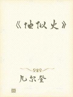 《他似火》封面