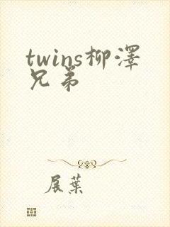 twins柳泽兄弟封面