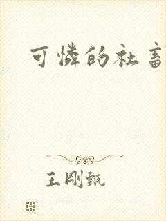 可怜的社畜小说
