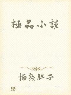 极品小说