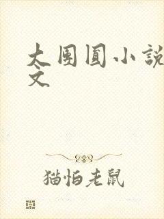大团圆小说集全文封面