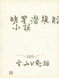 明星潜规则之皇 小说封面