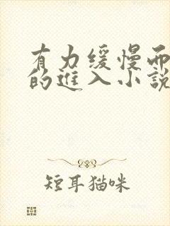 有力缓慢而坚定的进入小说