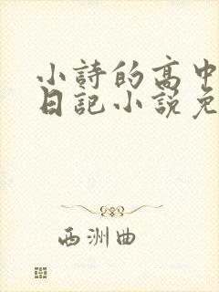 小诗的高中成长日记小说免费阅读