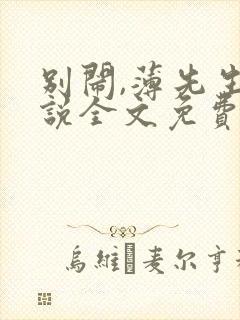 别闹,薄先生小说全文免费阅读封面
