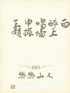 王申喝醉白洁被赵振墙上