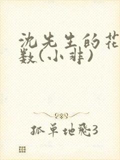 沈先生的花式调数(小非)