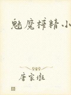 魅魔榨精小说