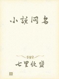小说网名