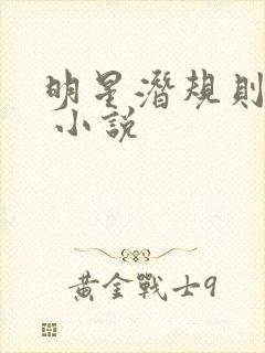 明星潜规则之皇 小说封面