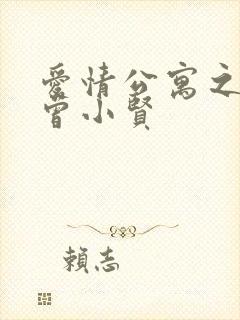 爱情公寓之极品曾小贤