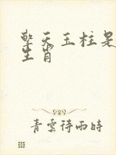 擎天玉柱是什么生肖