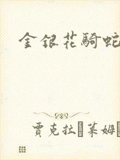 金银花骑蛇难下封面