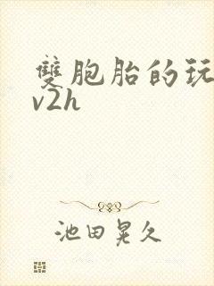 双胞胎的玩具1v2h封面