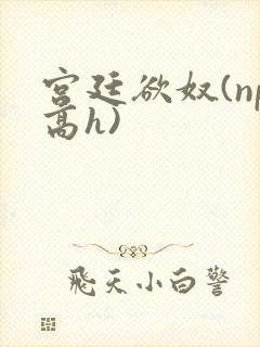 宫廷欲奴(np高h)