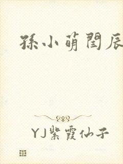 孙小萌闫辰封面