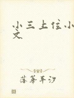小三上位小说全文